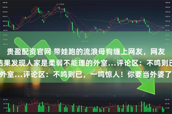 贵盈配资官网 带娃跑的流浪母狗缠上网友，网友狠下心肠让它退退退，结果发现人家是柔弱不能理的外室…评论区：不鸣则已，一鸣惊人！你要当外婆了…