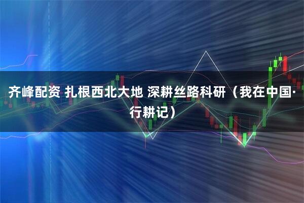 齐峰配资 扎根西北大地 深耕丝路科研（我在中国·行耕记）